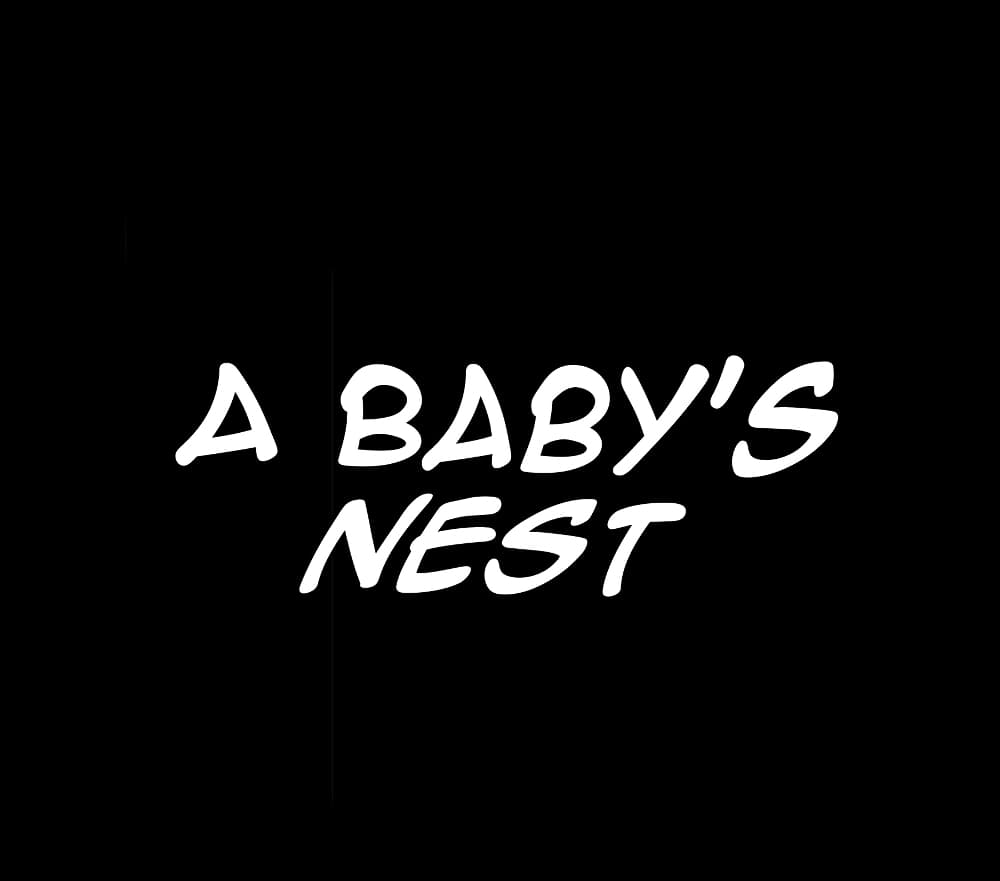 A Baby’s Nest