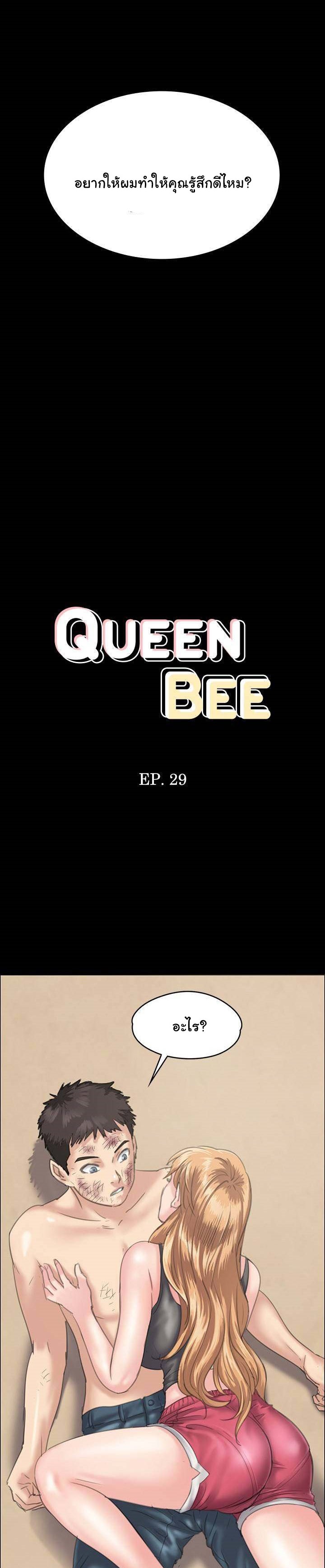 Queen Bee ควีนบี